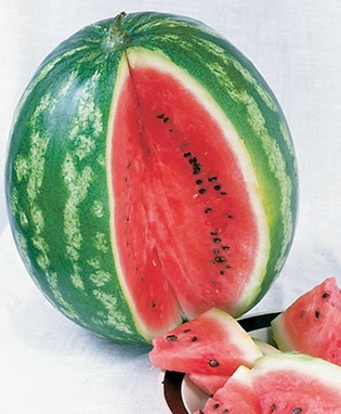 Icebox Watermelon
